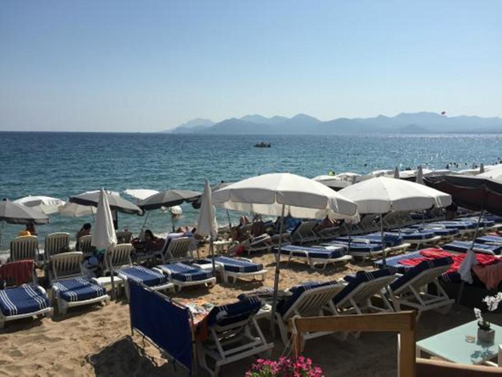 Boutique Hotel Couleurs Suds Cannes Eksteriør billede